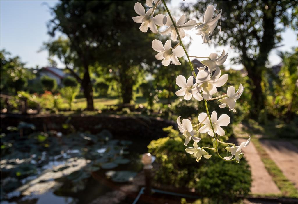 Xuanmai Garden Resort 빡세 외부 사진